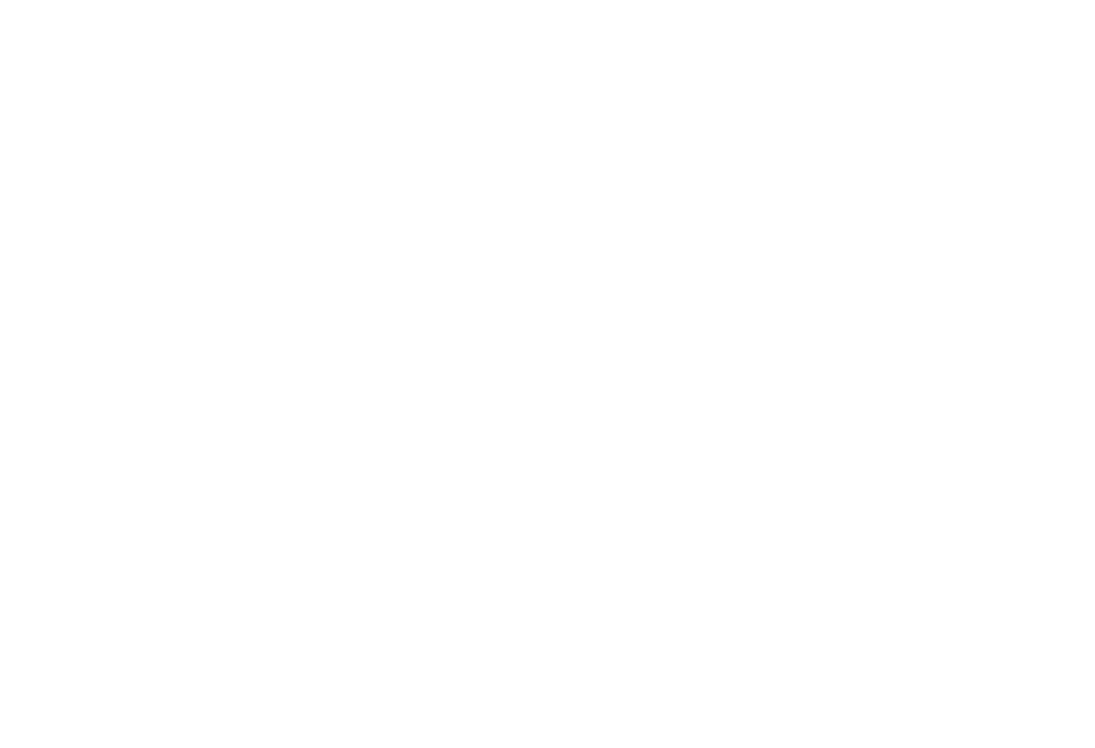 lycee-des-metiers-alain-fournier-metz-logo-blanc-txt-lycee