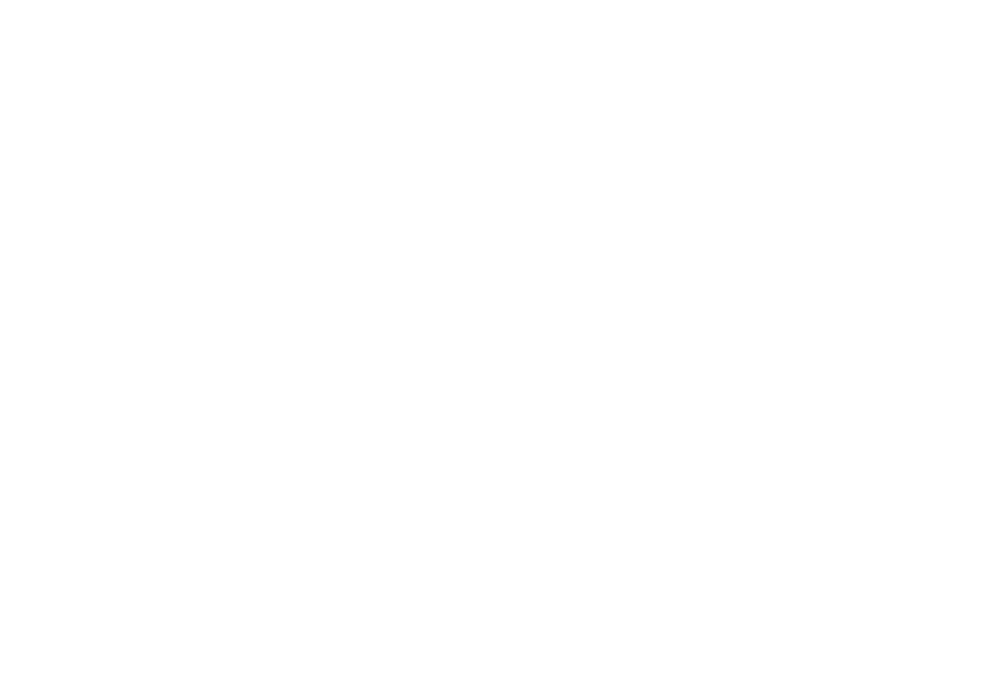 lycee-des-metiers-alain-fournier-metz-logo-blanc-txt-metz