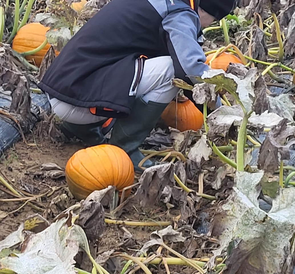 Img-CAP-PSR-Objectif – 1