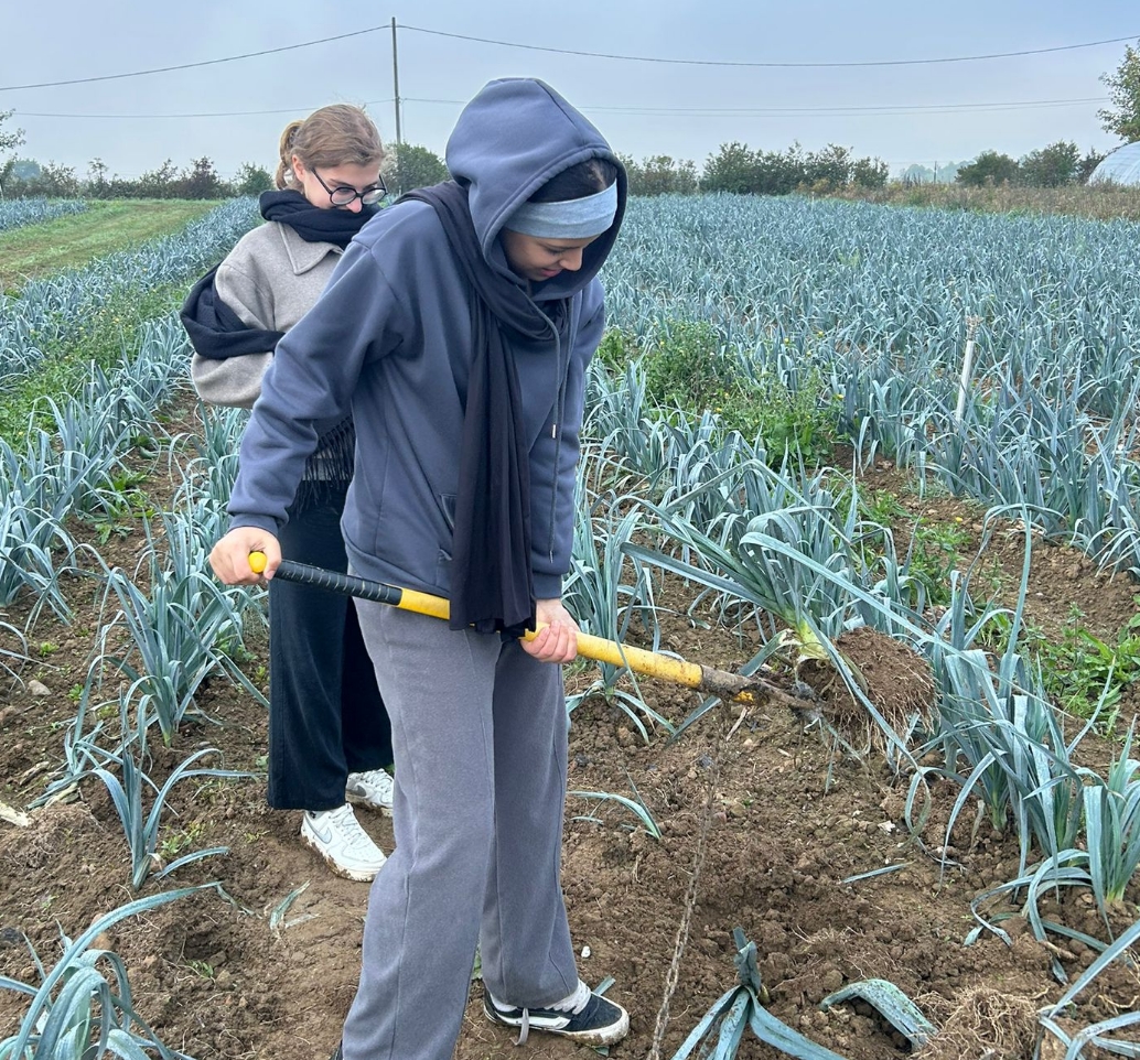 Img-CAP-PSR-Objectif –2